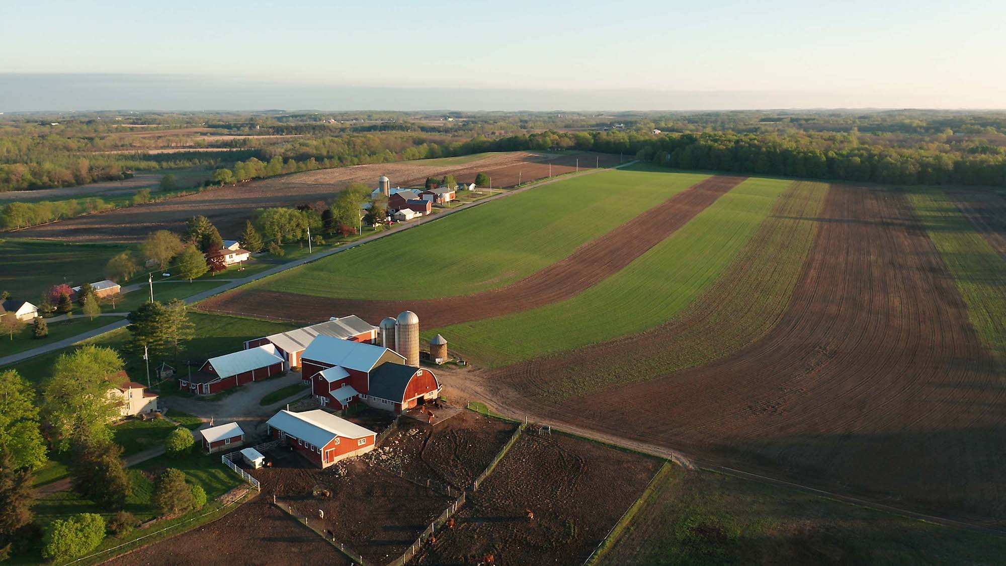 Aerial view of a farm featuring red barn buildings, silos, and expansive green and brown fields. The farm is surrounded by a few scattered trees and additional buildings in the background with a roadway running nearby. The scene is lit by soft daylight.