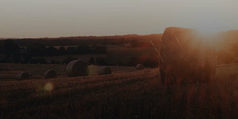 A scenic countryside landscape in Iowa at sunset with round hay bales scattered across a golden field. The sun is partially visible, casting a warm glow over the WG-Provisions rolling hills and creating a serene and peaceful atmosphere.